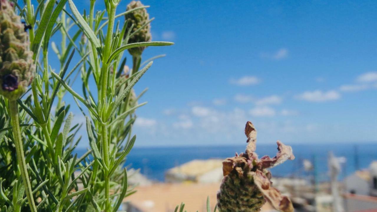 Home Holiday Sicily Isola delle Femmine Extérieur photo